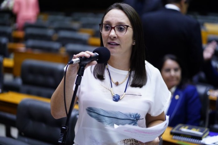 Renata Abreu: objetivo é viabilizar o direito à educação infantil - (Foto: Pablo Valadares/Câmara dos Deputados)
