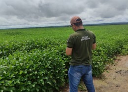 - Aged comemora 21 anos de defesa agropecuária no Maranhão (Foto: Divulgação)