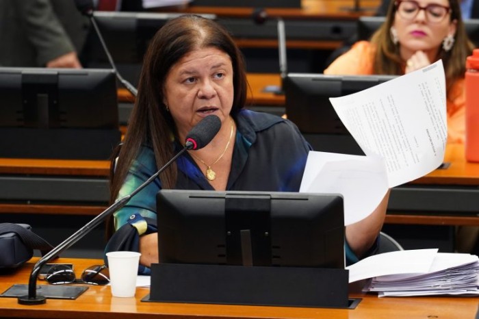 Laura Carneiro: programas educacionais devem estimular presença das mulheres em C&T - (Foto: Pablo Valadares / Câmara dos Deputados)