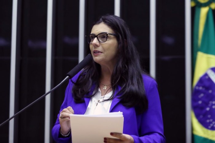 A relatora, deputada Delegada Ione, recomendou a aprovação da proposta com algumas modificações - (Foto: Bruno Spada/Câmara dos Deputados)