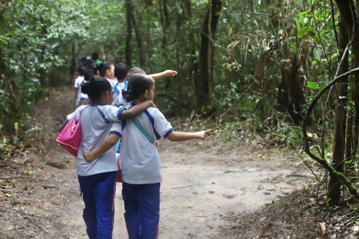 - As crianças ficaram encantadas com o passeio pelo parque (Foto: Luiz de Paula)