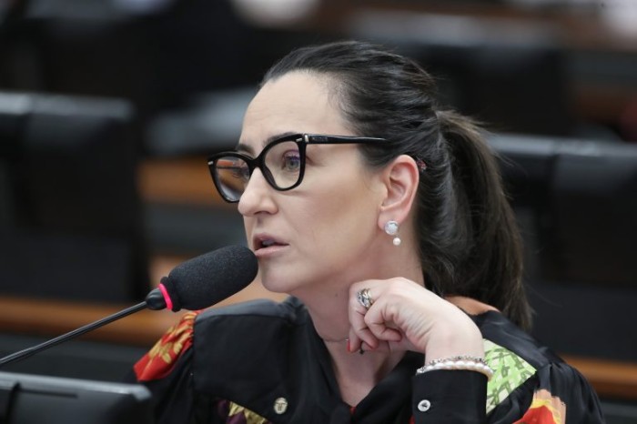 Deputada Rosangela Moro, relatora do projeto na CCJ - (Foto: Bruno Spada/Câmara dos Deputados)