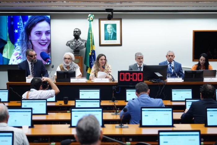 Deputados defenderam grupo de trabalho para discutir proteção social dos militares - (Foto: Pablo Valadares / Câmara dos Deputados)