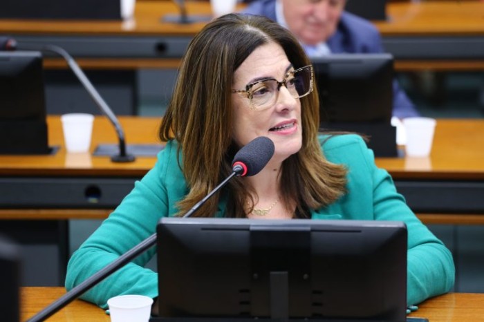 Rogéria Santos: dinheiro está vinculado aos atendimentos dos idosos - (Foto: Vinicius Loures/Câmara dos Deputados)