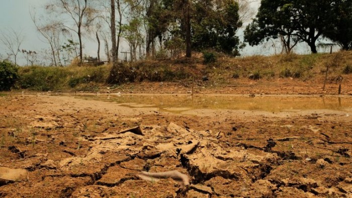 Recuperação de áreas será abordada no debate - (Foto: Alexandre Cruz Noronha/Amazônia Real)