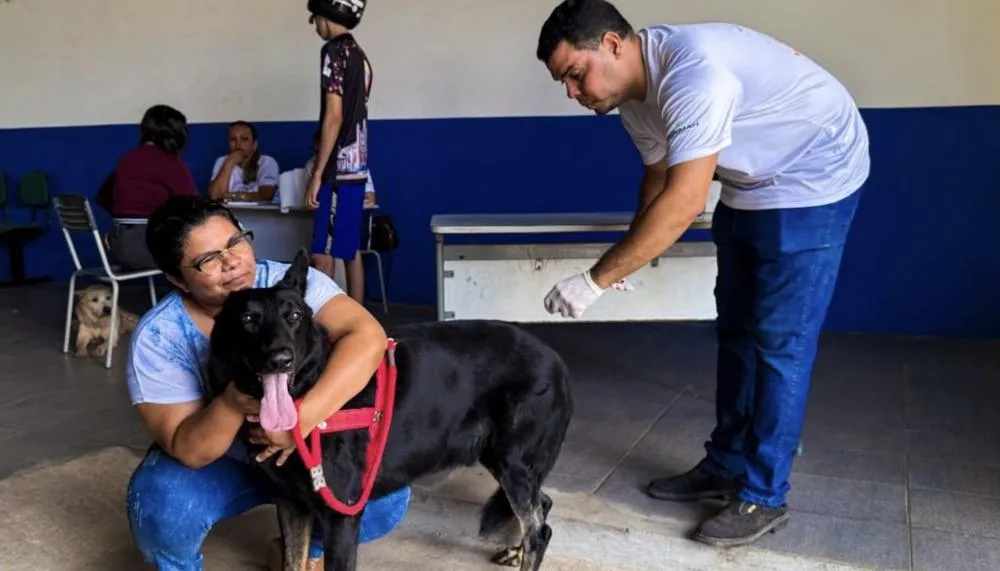 Ação da Prefeitura prevê atender entre 4 e 5 mil animais durante o mês de setembro. (Foto: MATHEUS CARDOSO LIMA)