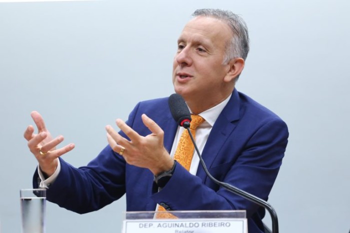 Aguinaldo Ribeiro, relator da reforma tributária - (Foto: Vinicius Loures / Câmara dos Deputados)