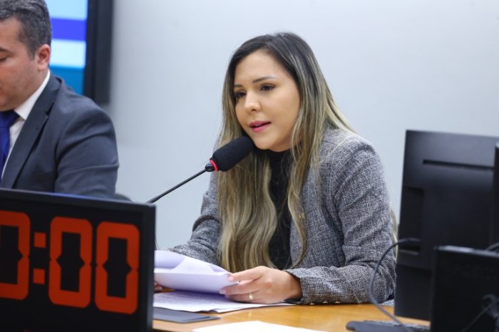 A relatora, Andreia Siqueira, recomendou a aprovação, com mudanças - (Foto: Vinicius Loures/Câmara dos Deputados)