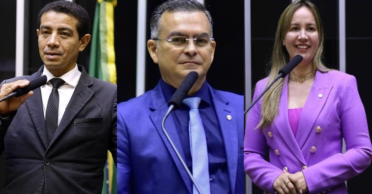 Deputados Pastor Gildenemyr, Alan Garcês e Detinha votam para soltar assassino de Marielle Franco.
